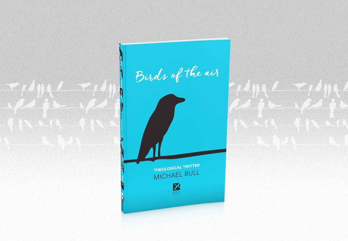 birds-of-the-air-book-review-davidould